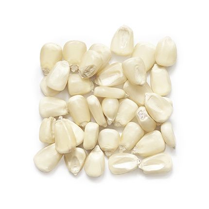 White corn